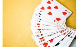 Beginner guide to play rummy game