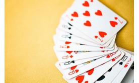 Beginner guide to play rummy game Beginner guide to play rummy game
