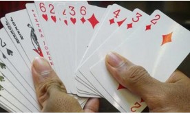 Is online rummy free?