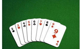 Want to Know About the Rummy Game in Detail