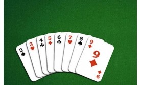 Want to Know About the Rummy Game in Detail Want to Know About the Rummy Game in Detail