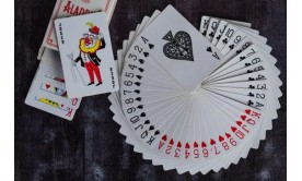 What is the joker in Indian Rummy?