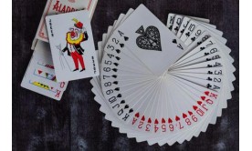 What is the joker in Indian Rummy? What is the joker in Indian Rummy?